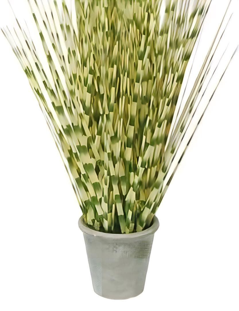 光触媒　人工観葉植物　ウォールグリーン　フェイクグリーン　ゼブラグラスポットy