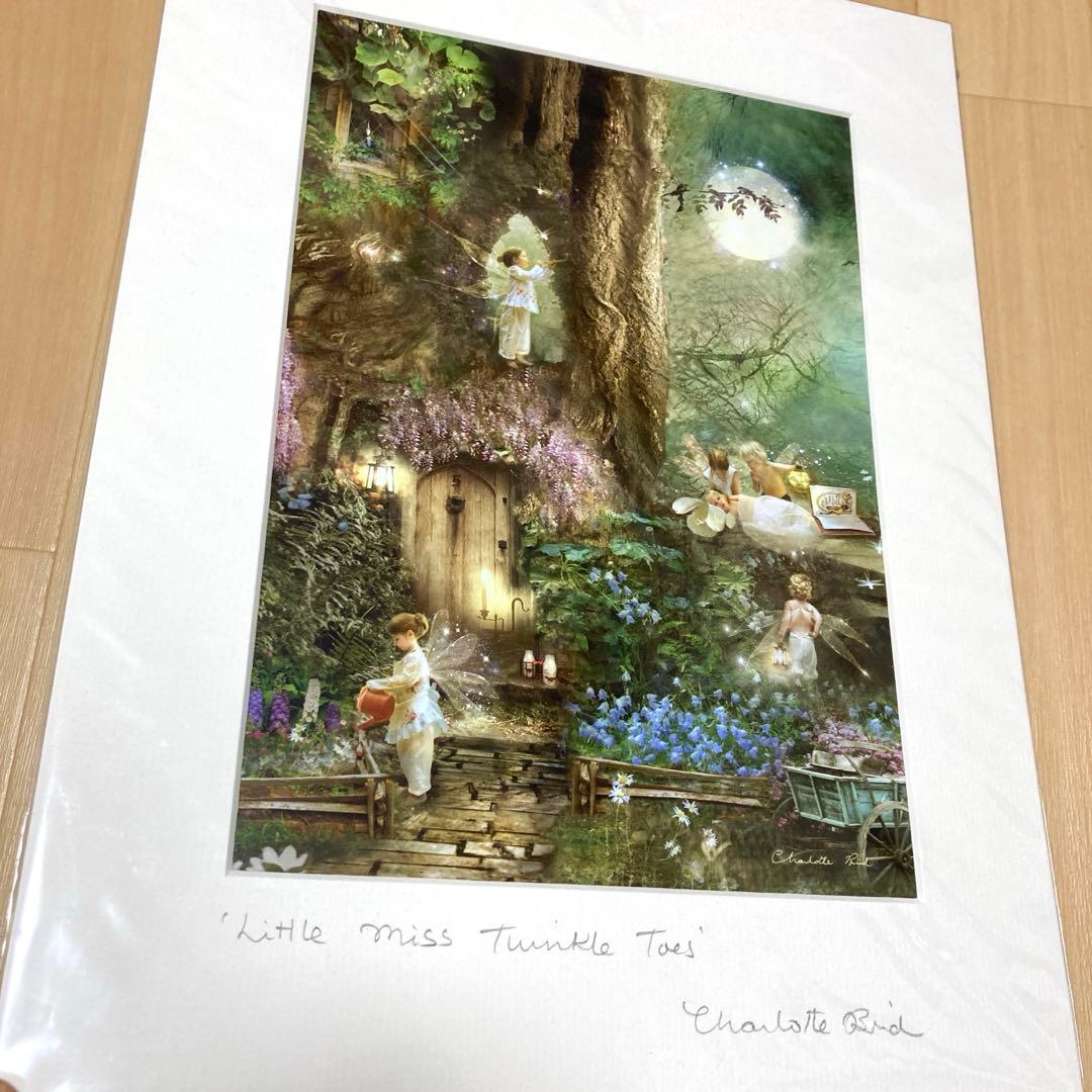 シャーロット バード　フォトグラフ　妖精　置物　インテリアに