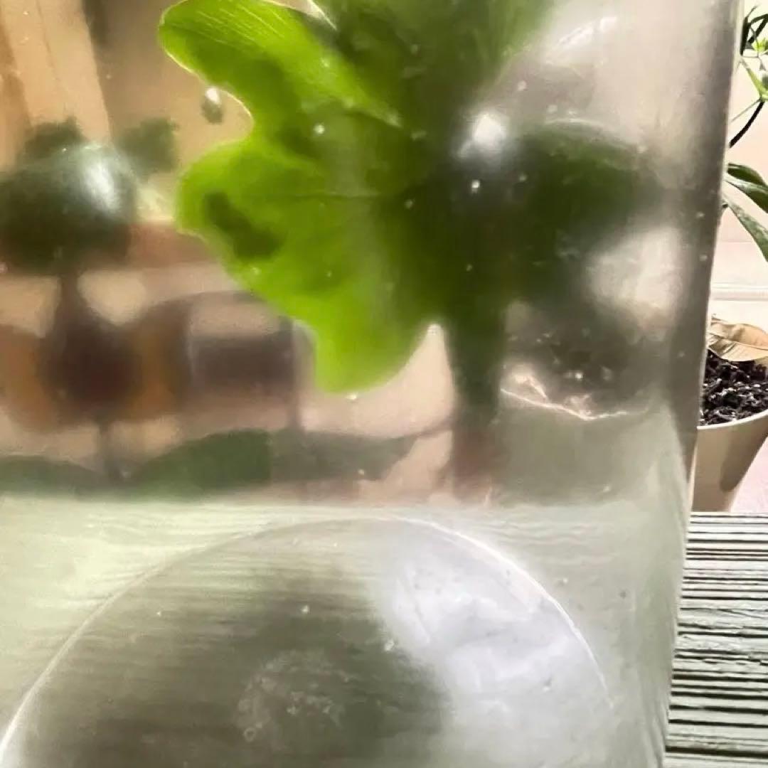 希少　倉敷意匠分室【回吹ガラスジャー】ナチュラル　アンティーク風ガラス　シンプル