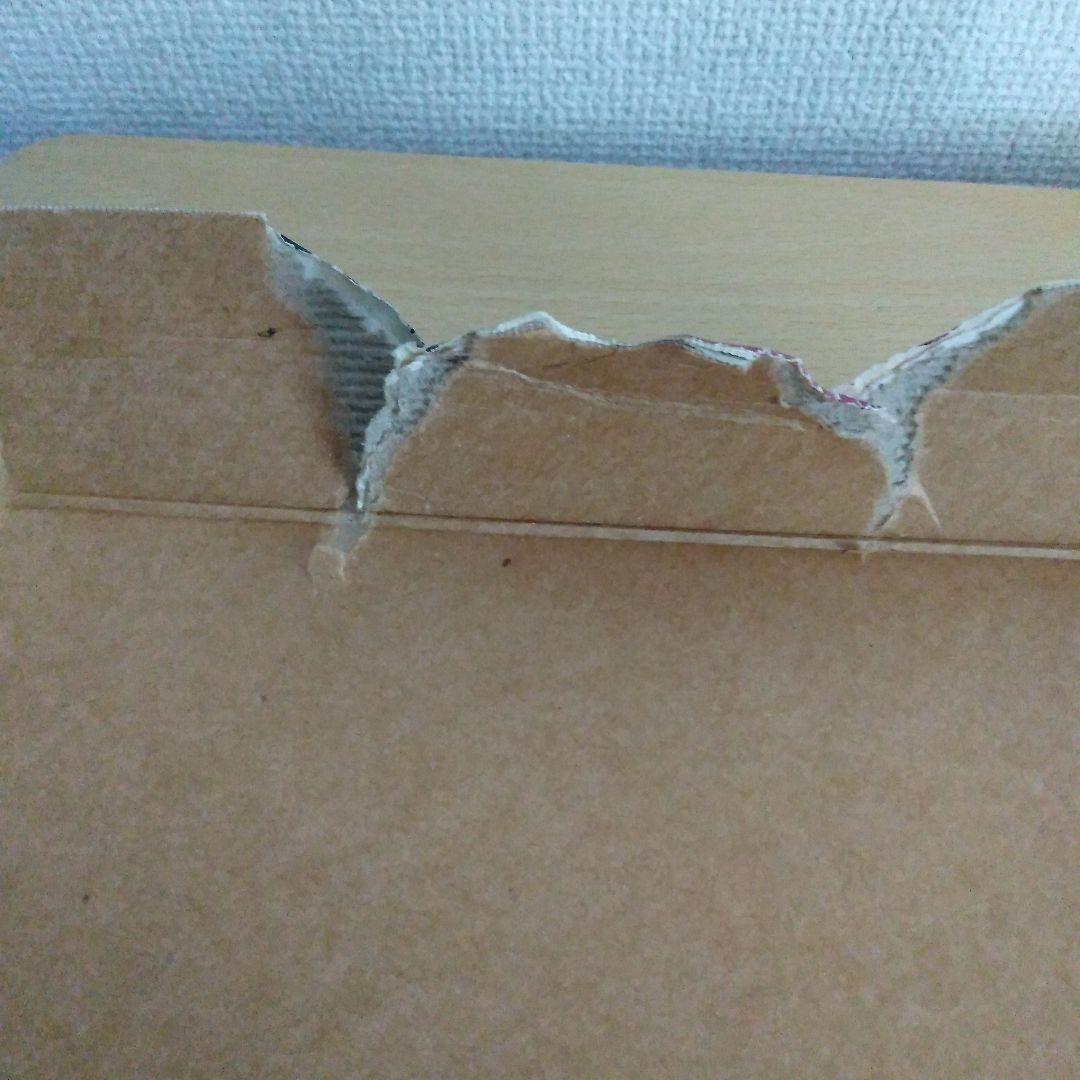 CASIO EXILIM EX-V8 デジタルカメラ　動作確認済み