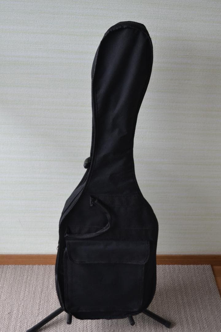 【美品】PLAYTECH エレキギター　ミントグリーン