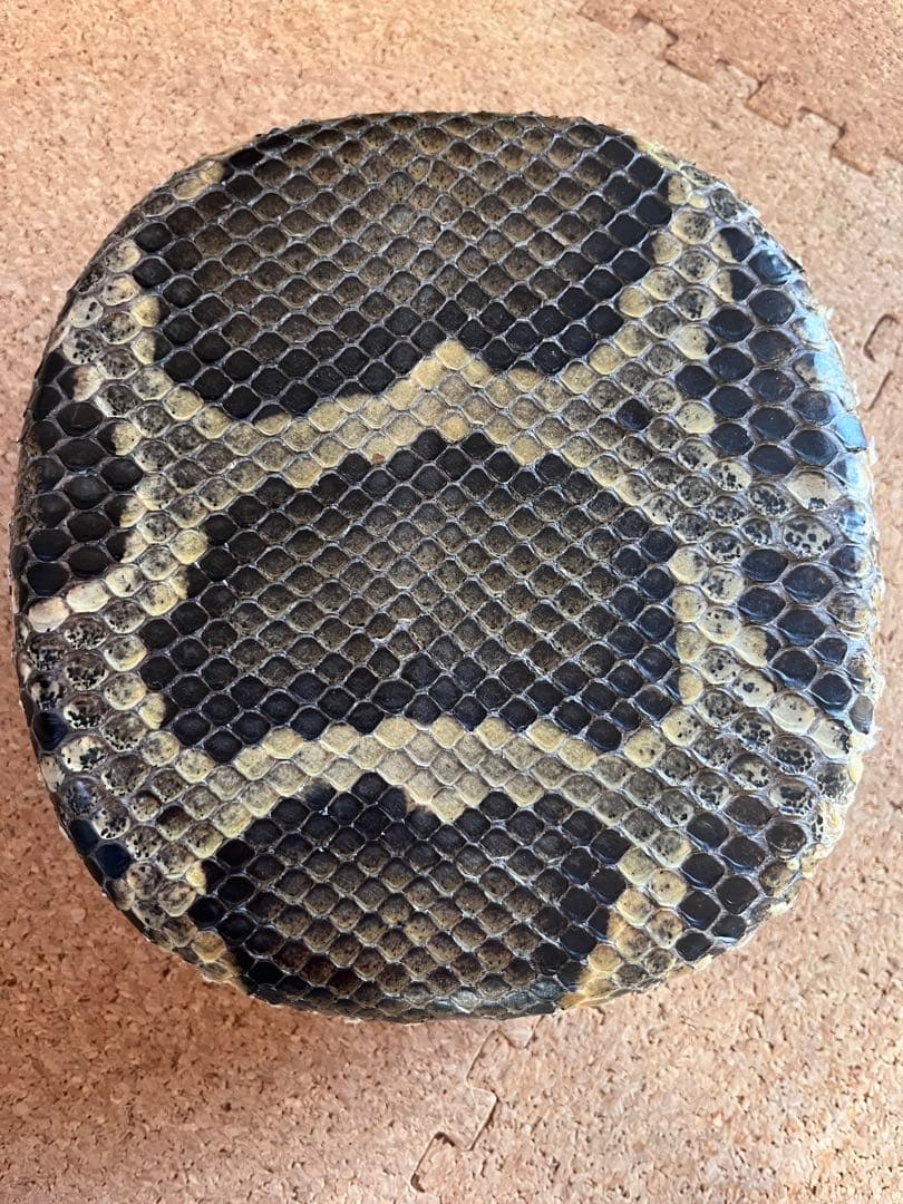 三線　沖縄　伝統工芸士製作　カミゲン一枚貼り(本張)(製作証明あり)(最終価格)