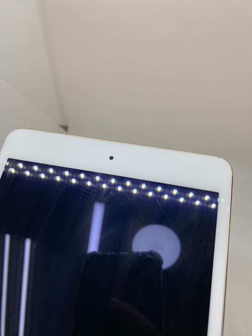 Ipad Mini 第4世代　128GB LGHKL