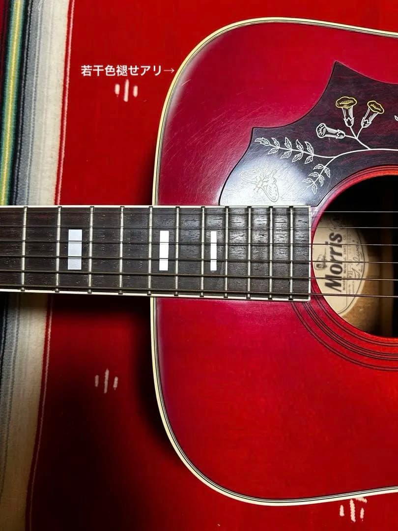 Morris WH-20 ハミングバード　アコースティックギター　国産　70年代