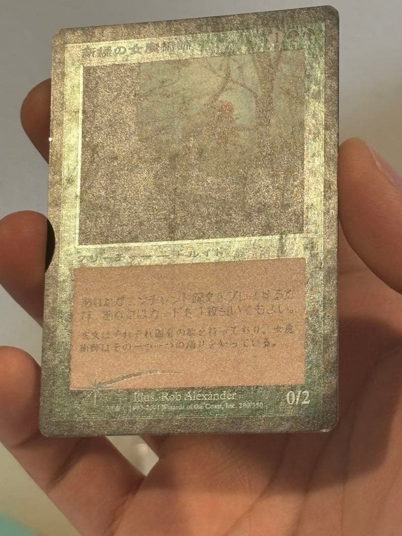 MTG 新緑の女魔術師 7版 日本語 初版 Foil