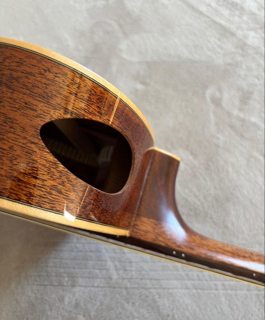 L. Luthier アコースティックギター