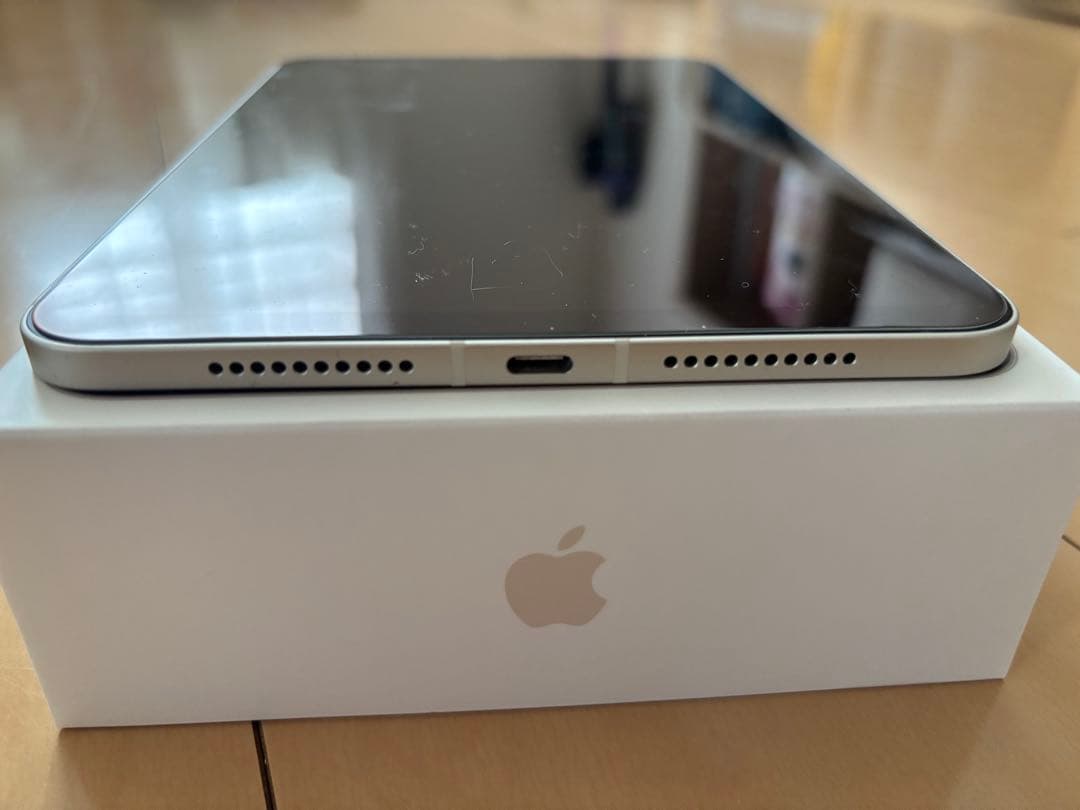 Apple iPad mini シルバー Wi-Fi&セルラーモデル64GB