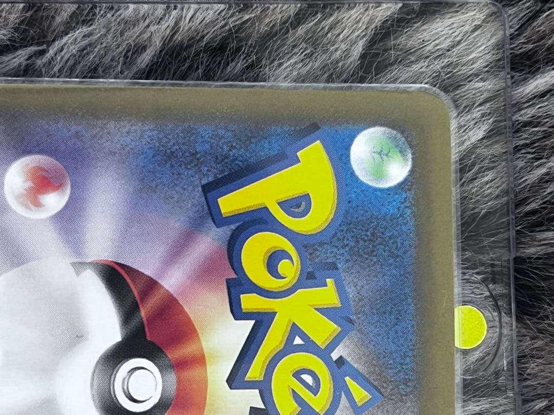 リザードンXex SAR