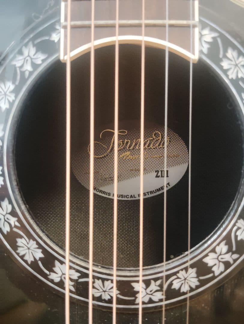 エレクトリックアコースティックギター