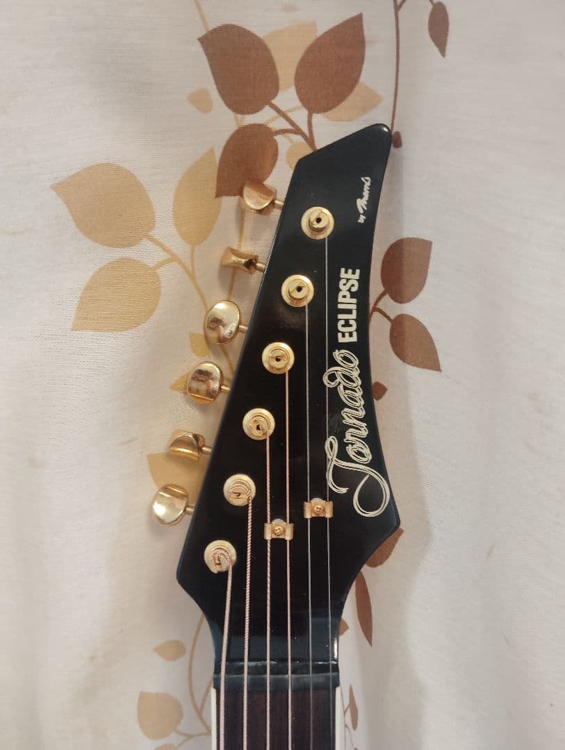 エレクトリックアコースティックギター