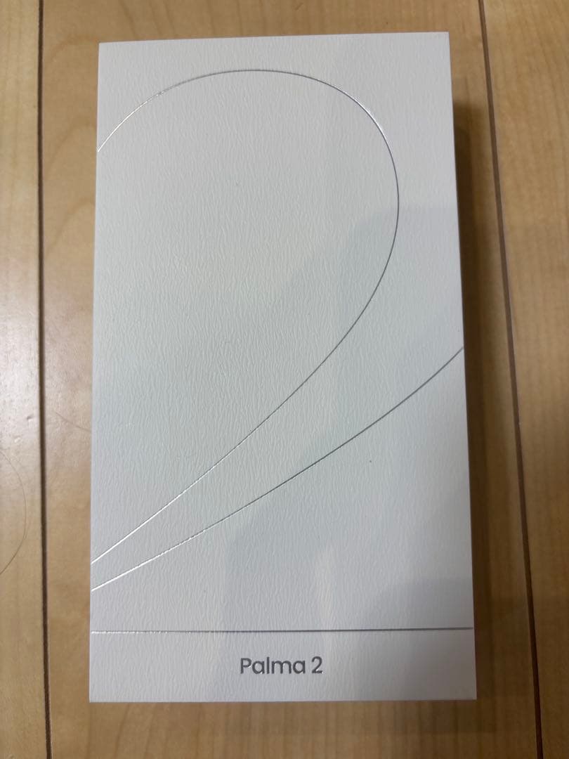 【美品・希少カラー】 Boox Palma2ホワイト（電子書籍リーダー）