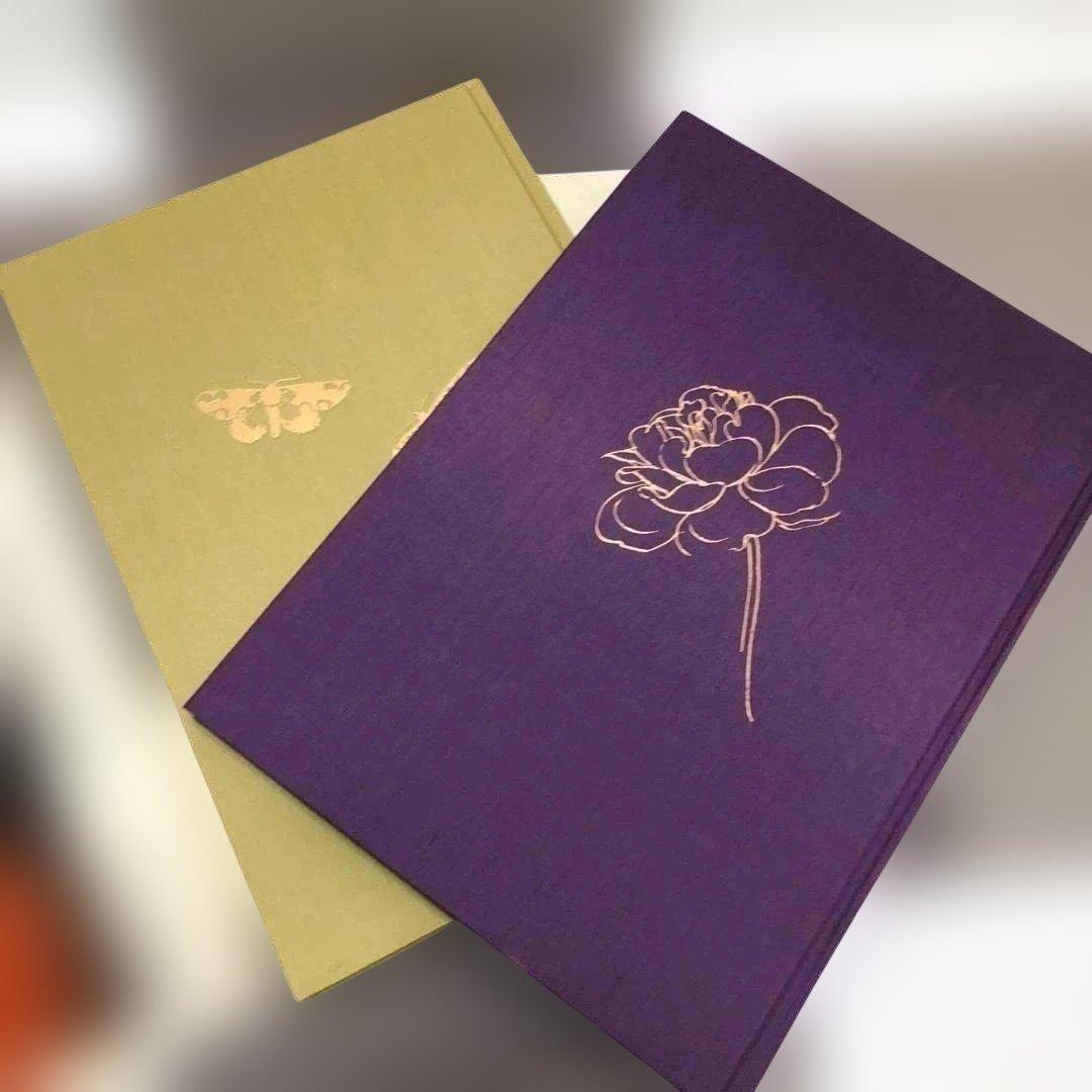 速水御船 作品と素描　全二巻揃 光村図書 定価70，000円 　250616-