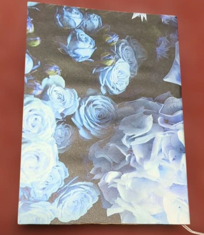 黒猫カエル♡♡