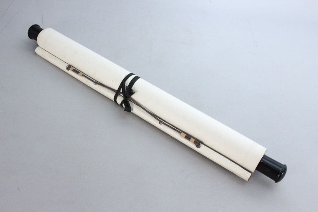 No5237 掛軸　在銘　アヤメ　菖蒲　着色紙本　中国画　墨彩　古美術　送料無料