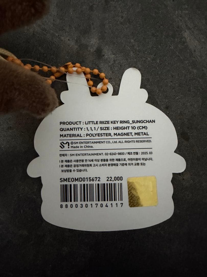 アイドル RIIZE SUNGCHAN little&10cm doll key ring
