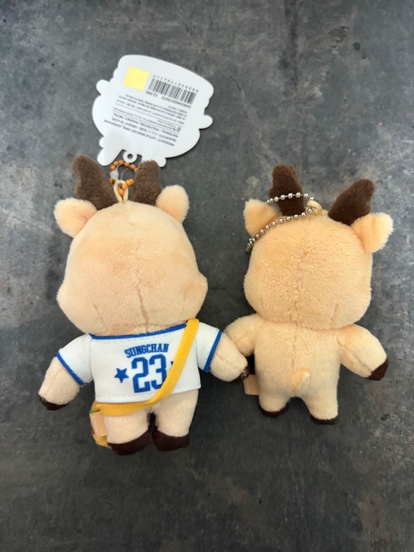 アイドル RIIZE SUNGCHAN little&10cm doll key ring