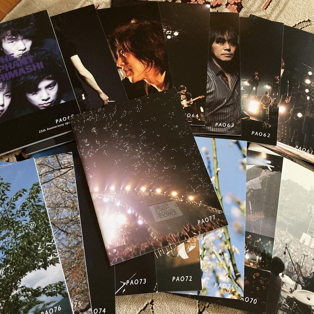 エレファントカシマシ　PAO 52〜最新112