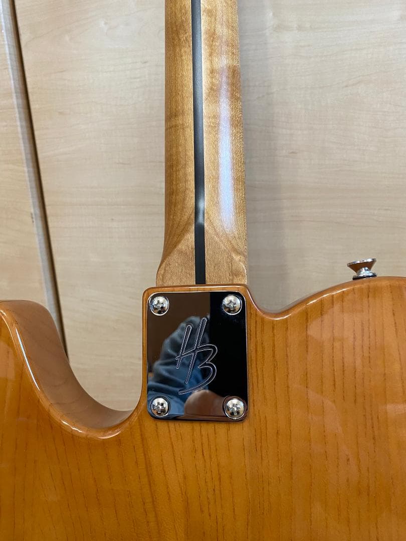 Harley Benton ハーレーベントン テレキャスター シンラインタイプ