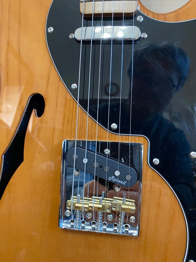 Harley Benton ハーレーベントン テレキャスター シンラインタイプ