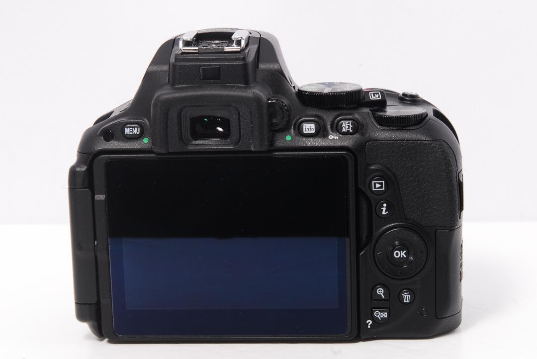 ✨ショット数46回 ほぼ新品 バック付き✨Nikon D5500レンズセット