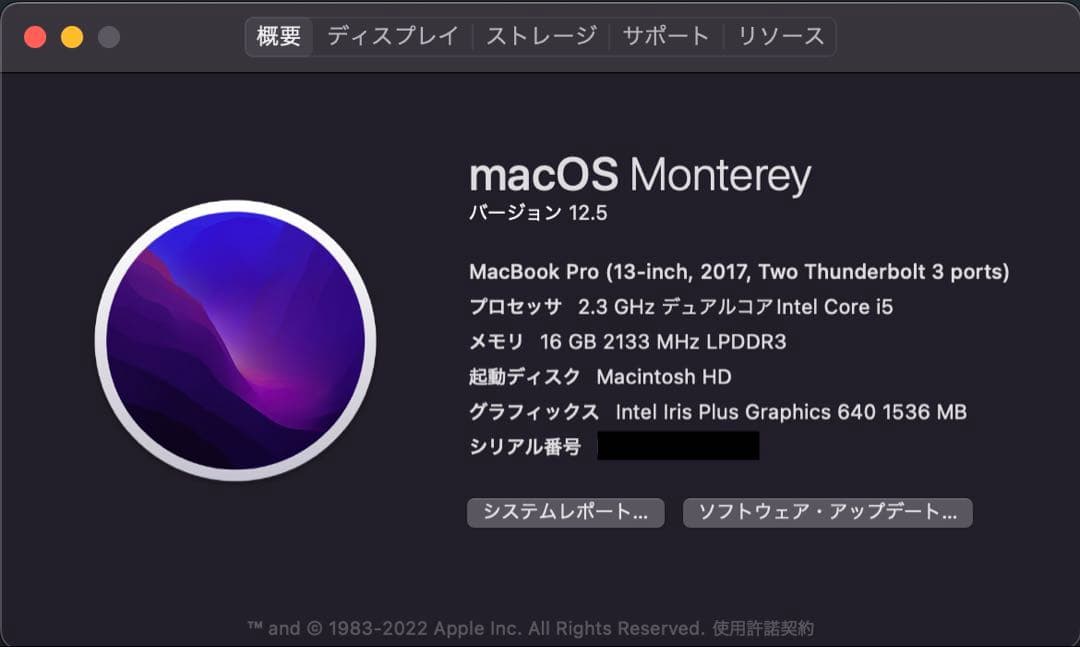 MacBook Pro SSD 256GB, メモリ 16GB (2017)