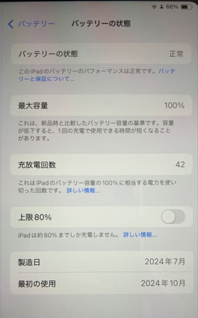 【美品】iPad mini A17Pro (第7世代) 本体　Wi-Fi ブルー
