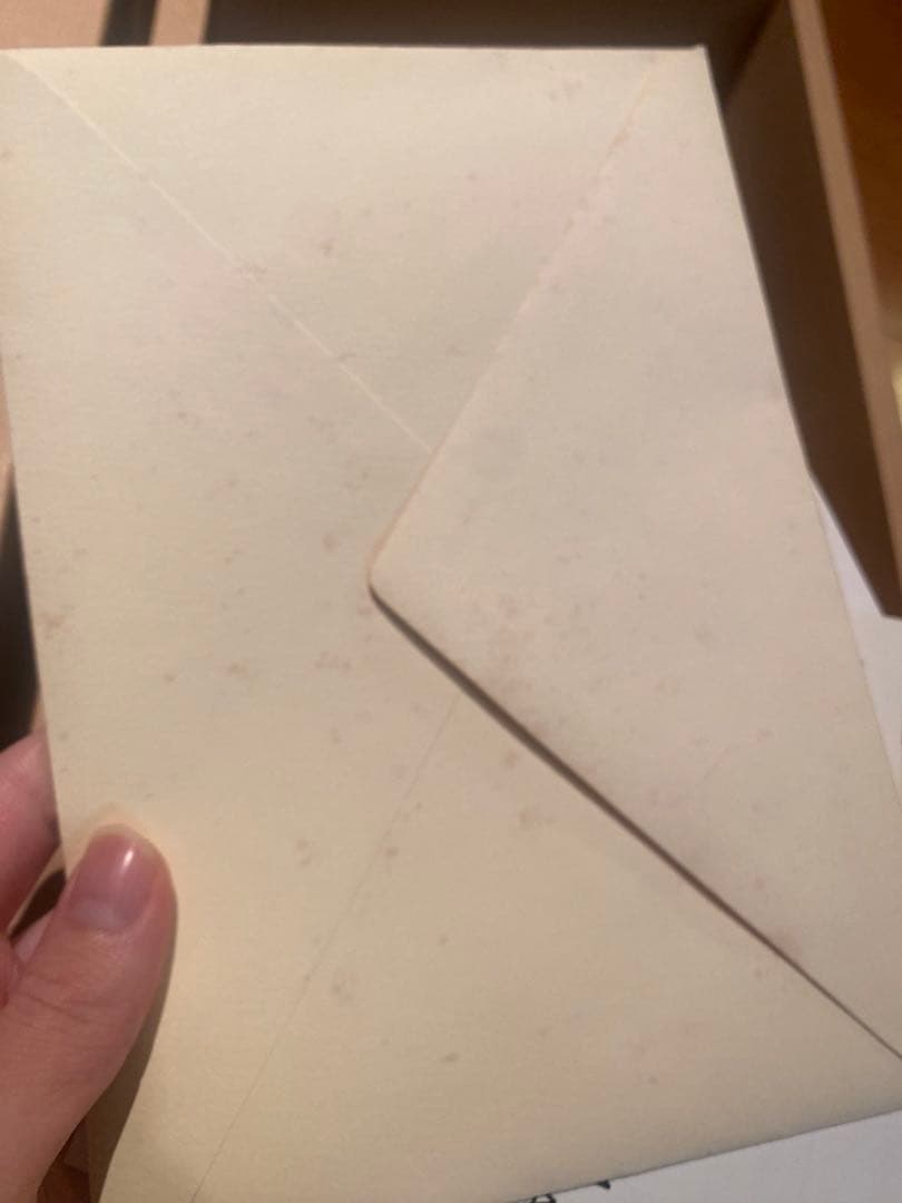 steiff シュタイフ　テディベア　マルガレーテシュタイフ生誕１５０周年