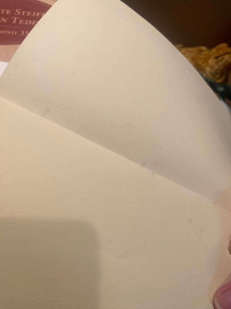 steiff シュタイフ　テディベア　マルガレーテシュタイフ生誕１５０周年