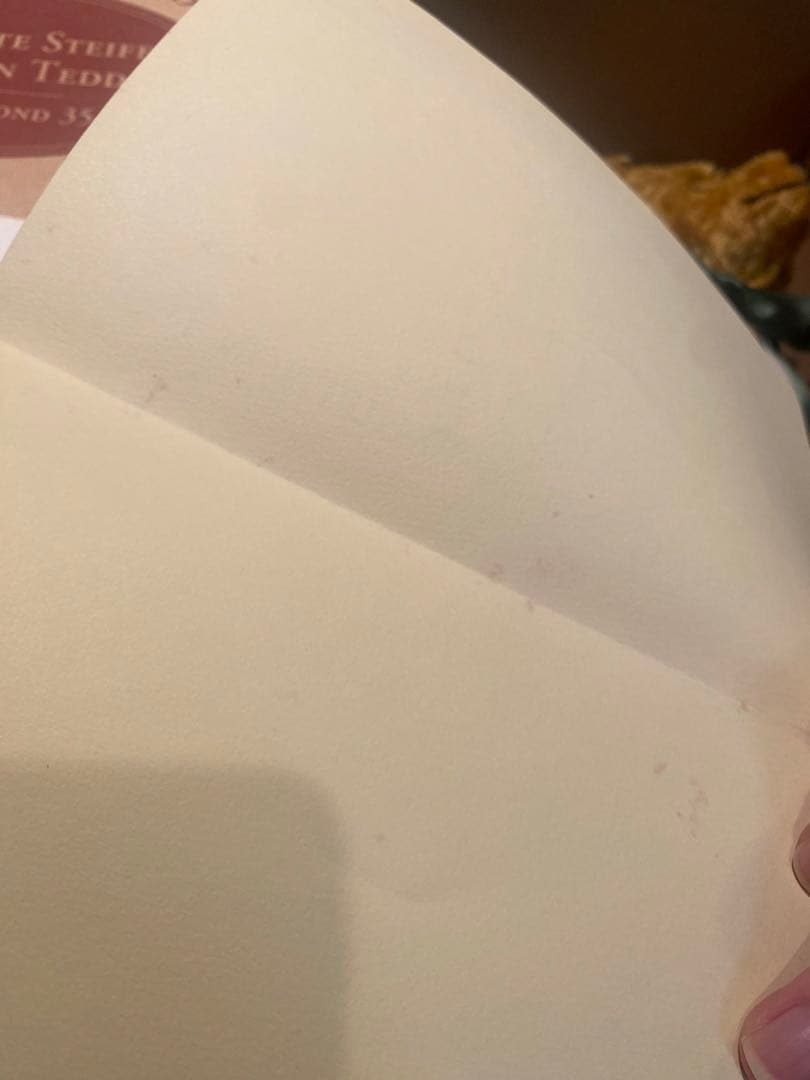 steiff シュタイフ　テディベア　マルガレーテシュタイフ生誕１５０周年