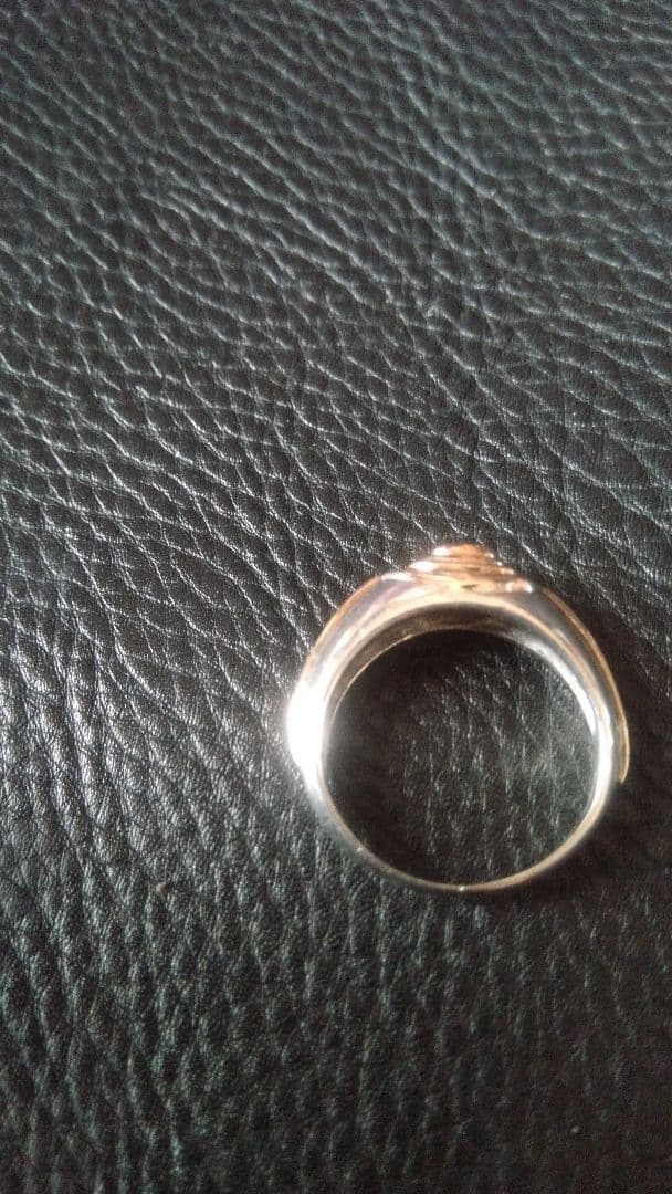 ミス タカオk9シルバーガーネットコンビリング