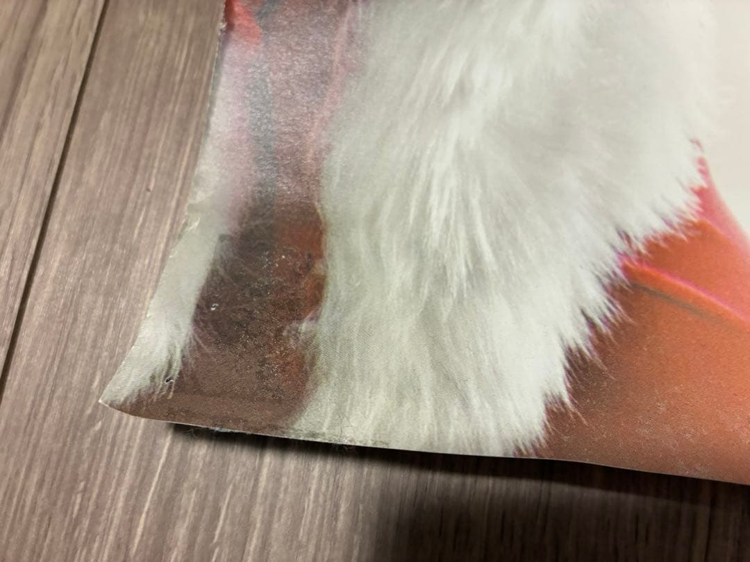 《TDL》ディズニー・クリスマス特大ポスター（B1サイズ）