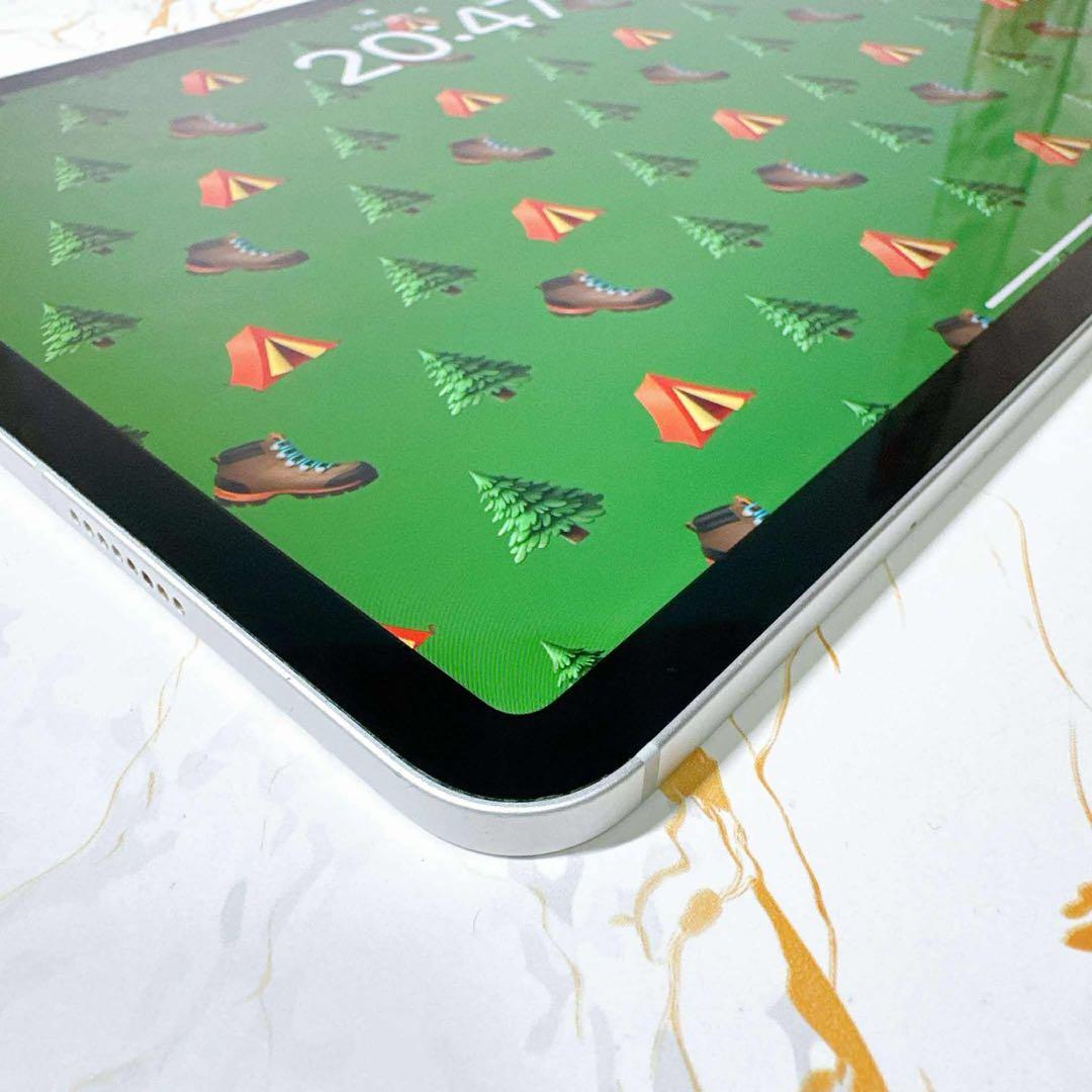 美品iPad Pro 11インチ第４世代 セルラー 128GB BT90%