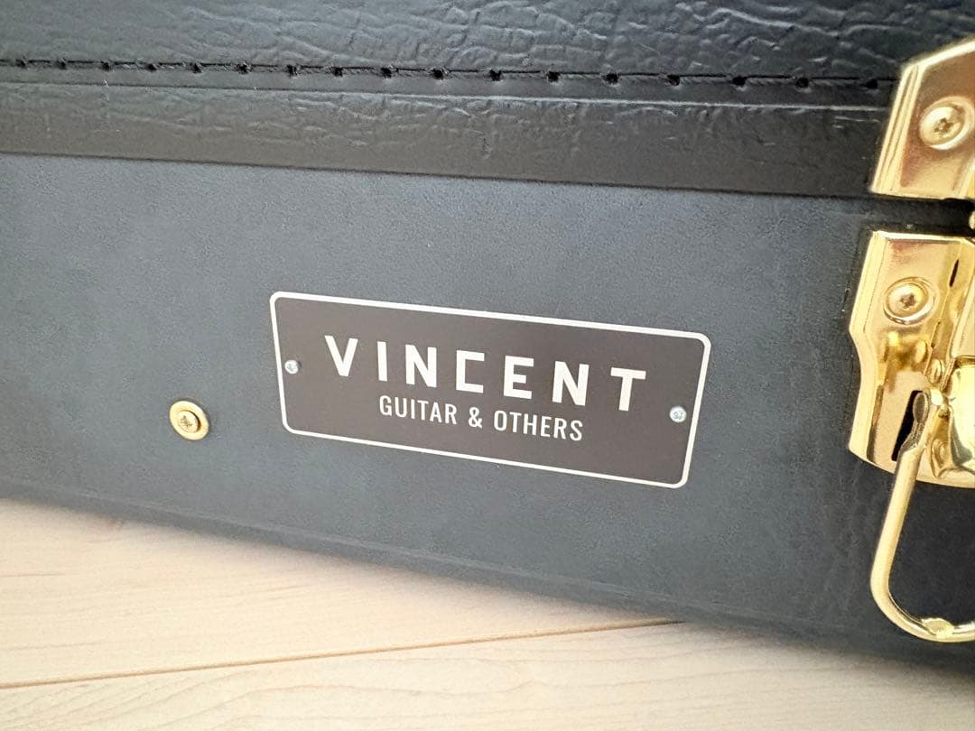 VINCENT VN3 アコースティックギター