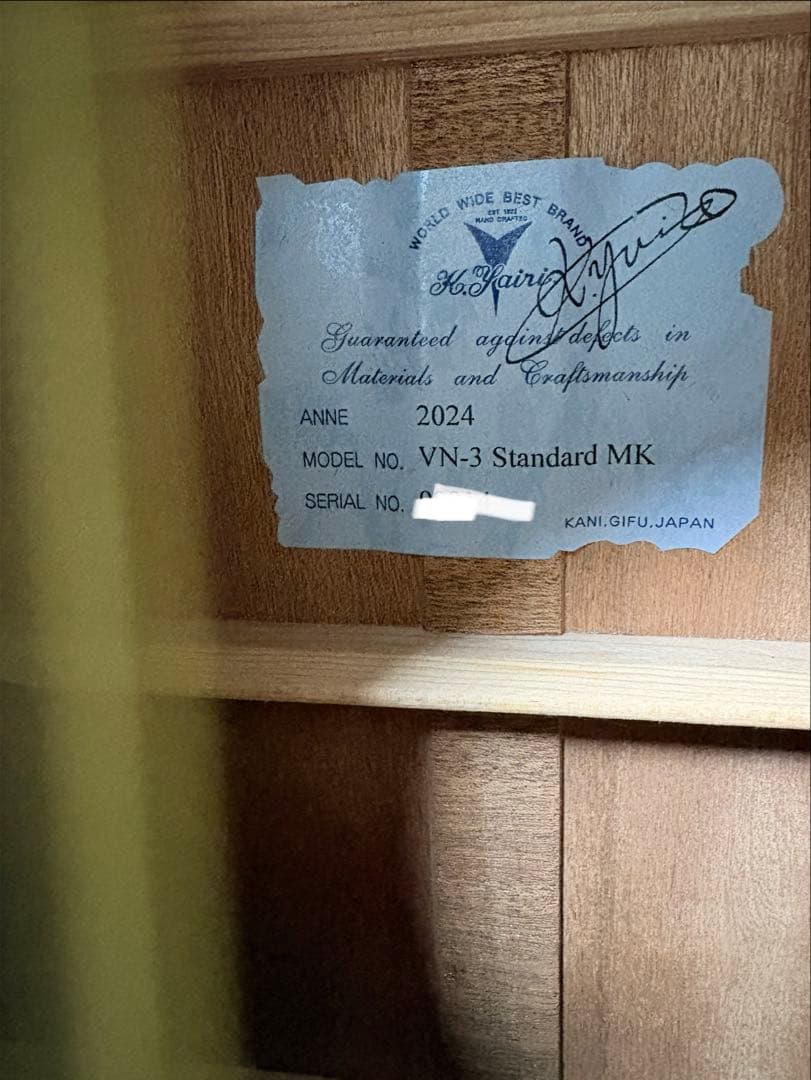 VINCENT VN3 アコースティックギター