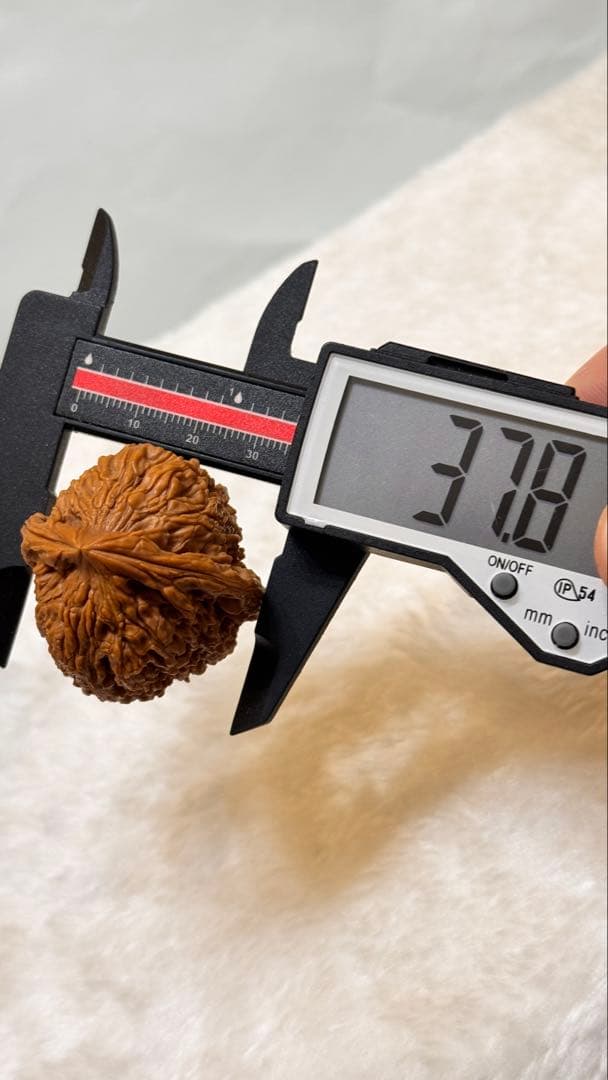 38极品逐鹿高炮南疆