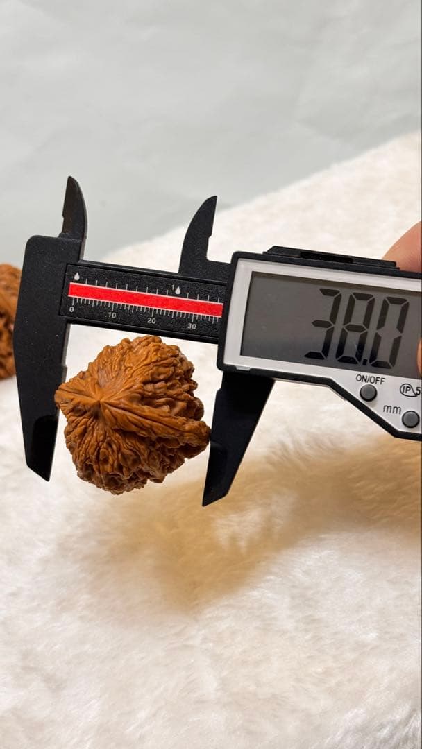 38极品逐鹿高炮南疆