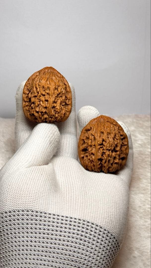 38极品逐鹿高炮南疆