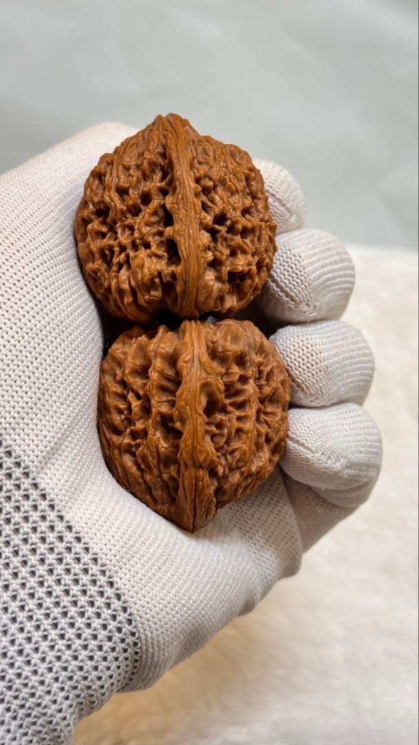 38极品逐鹿高炮南疆