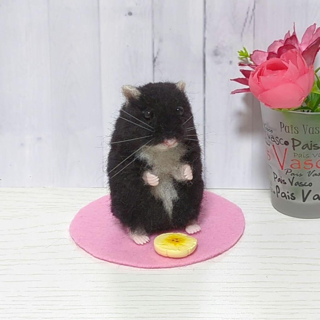 専用 362 ジャンガリアン ブラック◇羊毛フェルト