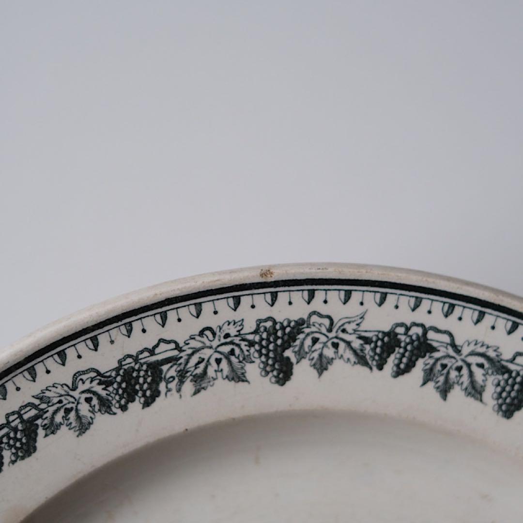 Creil/grisailleplate クレイユ窯/グリザイユプレート