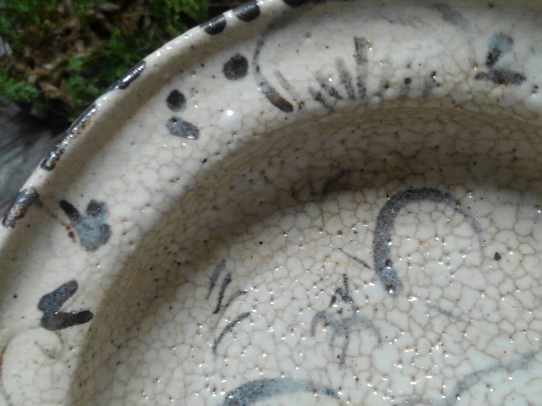 ♥美濃焼　志野　鉢　桐箱付き　志野織部　骨董品