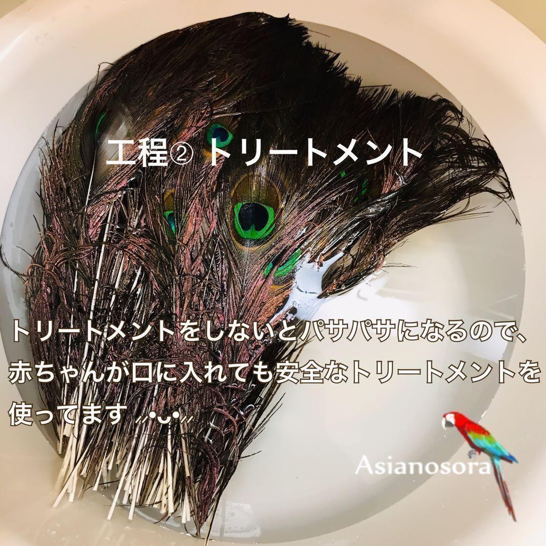 100枚■【クジャク 】孔雀の羽根 目玉 パーツ 鳥 羽根 素材