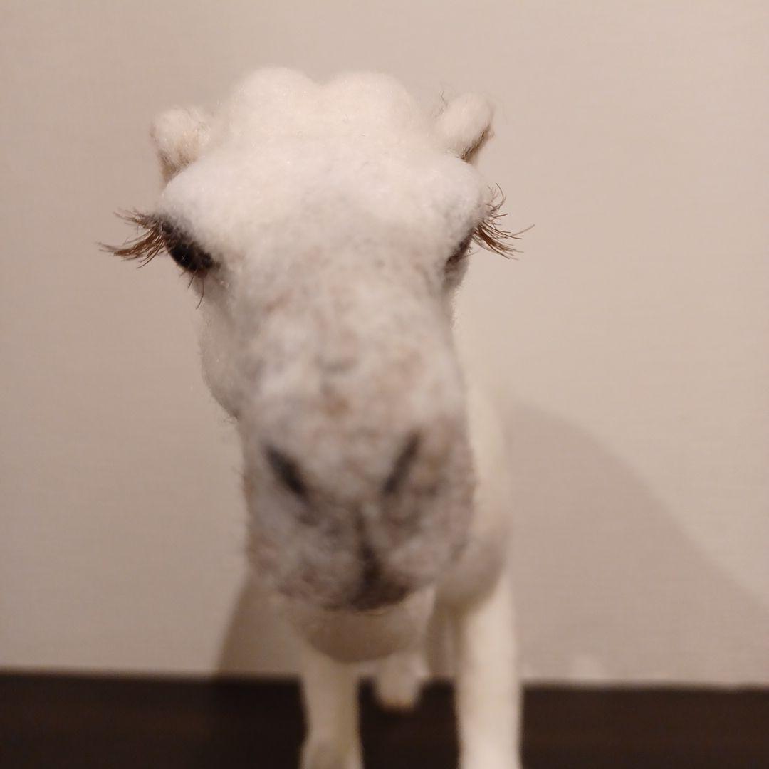 ラクダ(羊毛フェルト)ホワイト