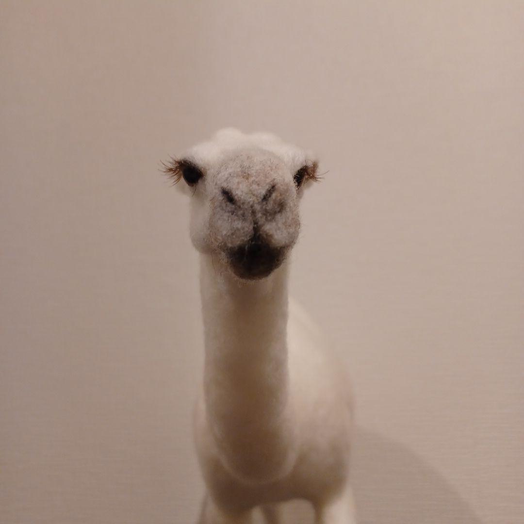 ラクダ(羊毛フェルト)ホワイト