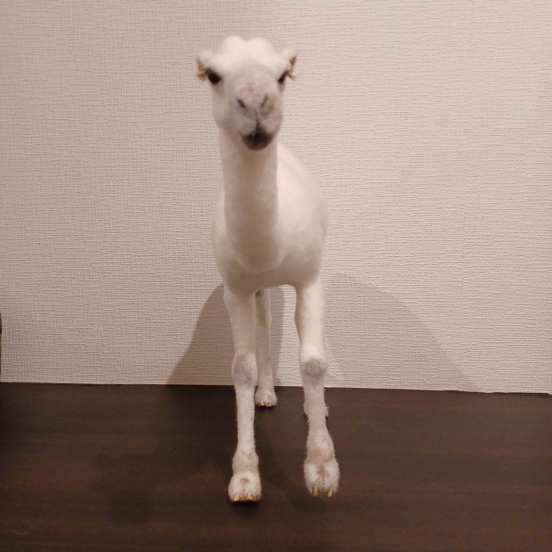 ラクダ(羊毛フェルト)ホワイト