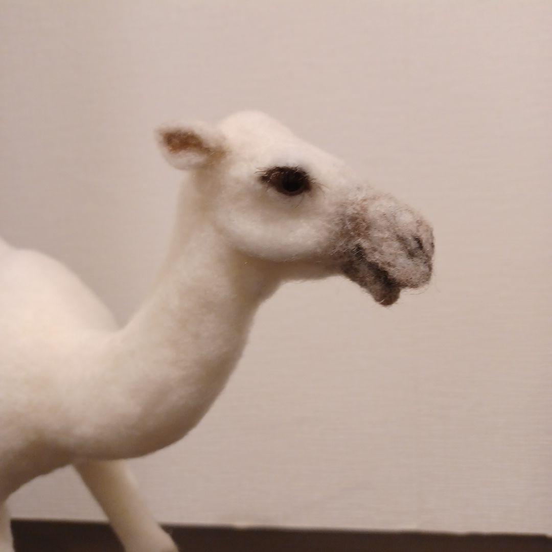 ラクダ(羊毛フェルト)ホワイト