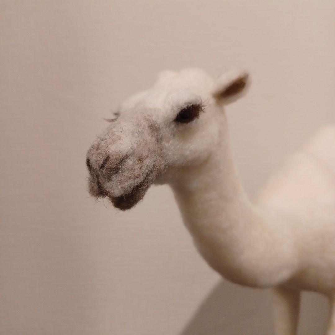 ラクダ(羊毛フェルト)ホワイト