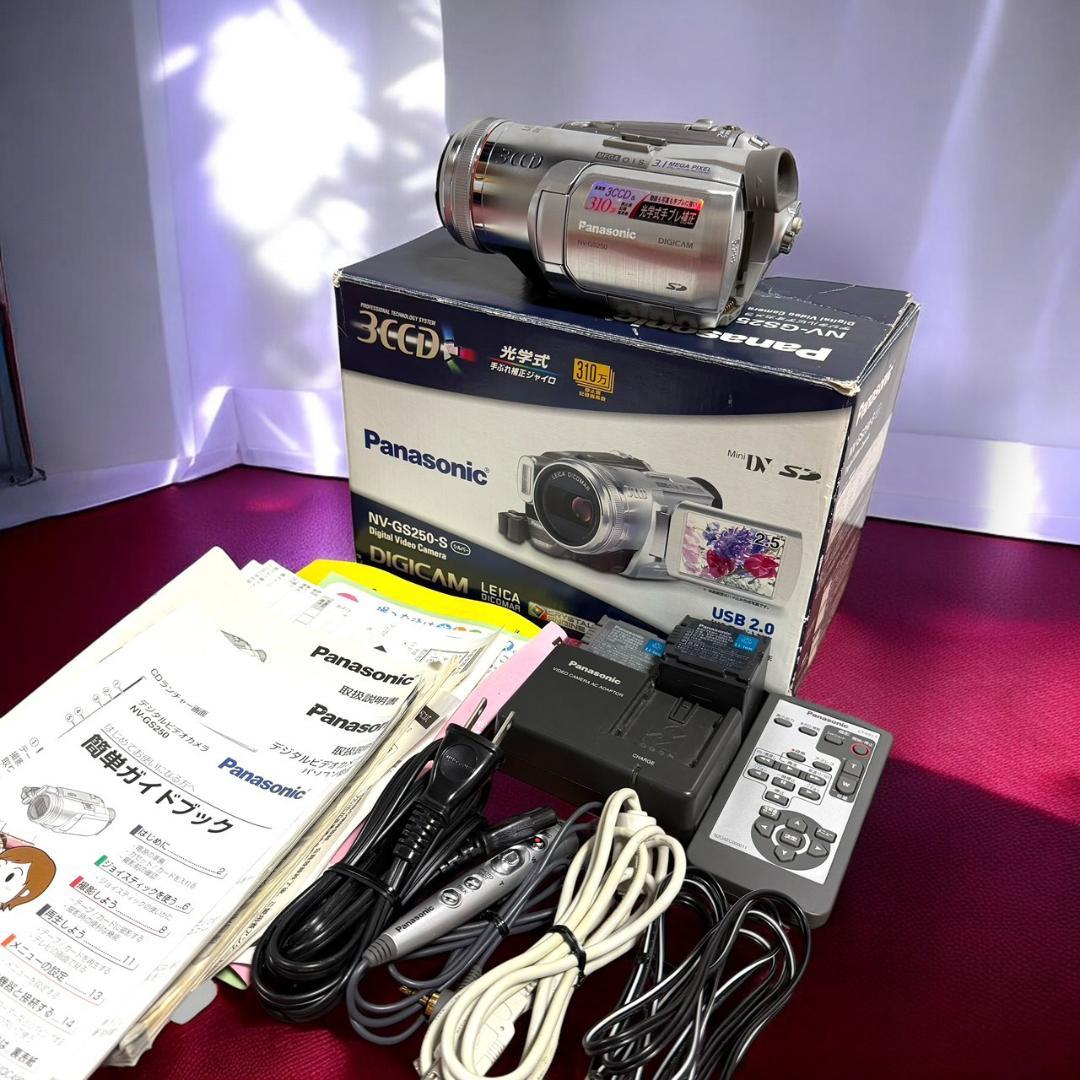 ☆予備バッテリー付 パナソニック NV-GS250 S デジタルビデオカメラ