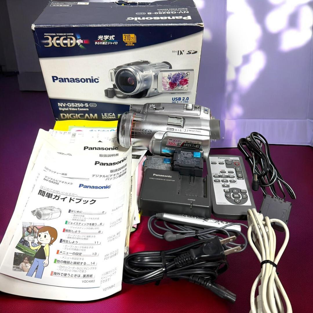 ☆予備バッテリー付 パナソニック NV-GS250 S デジタルビデオカメラ