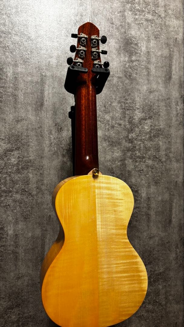 ギター SH GUITARS UG-301